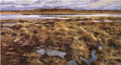 Bruno Andreas Liljefors The Curlews Norge oil painting art